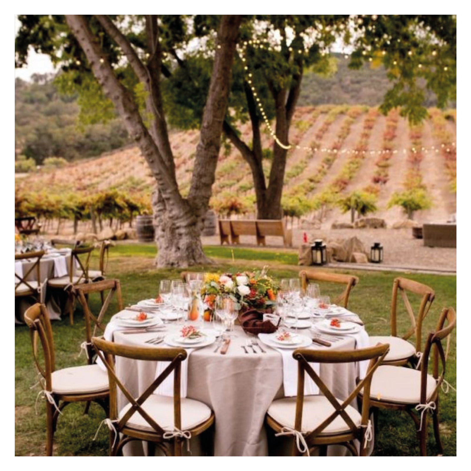 Tavolo imbandito per microwedding